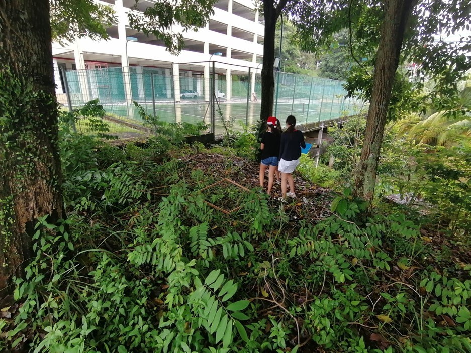 Les 5èmes élaborent un inventaire de la biodiversité au LFKL.